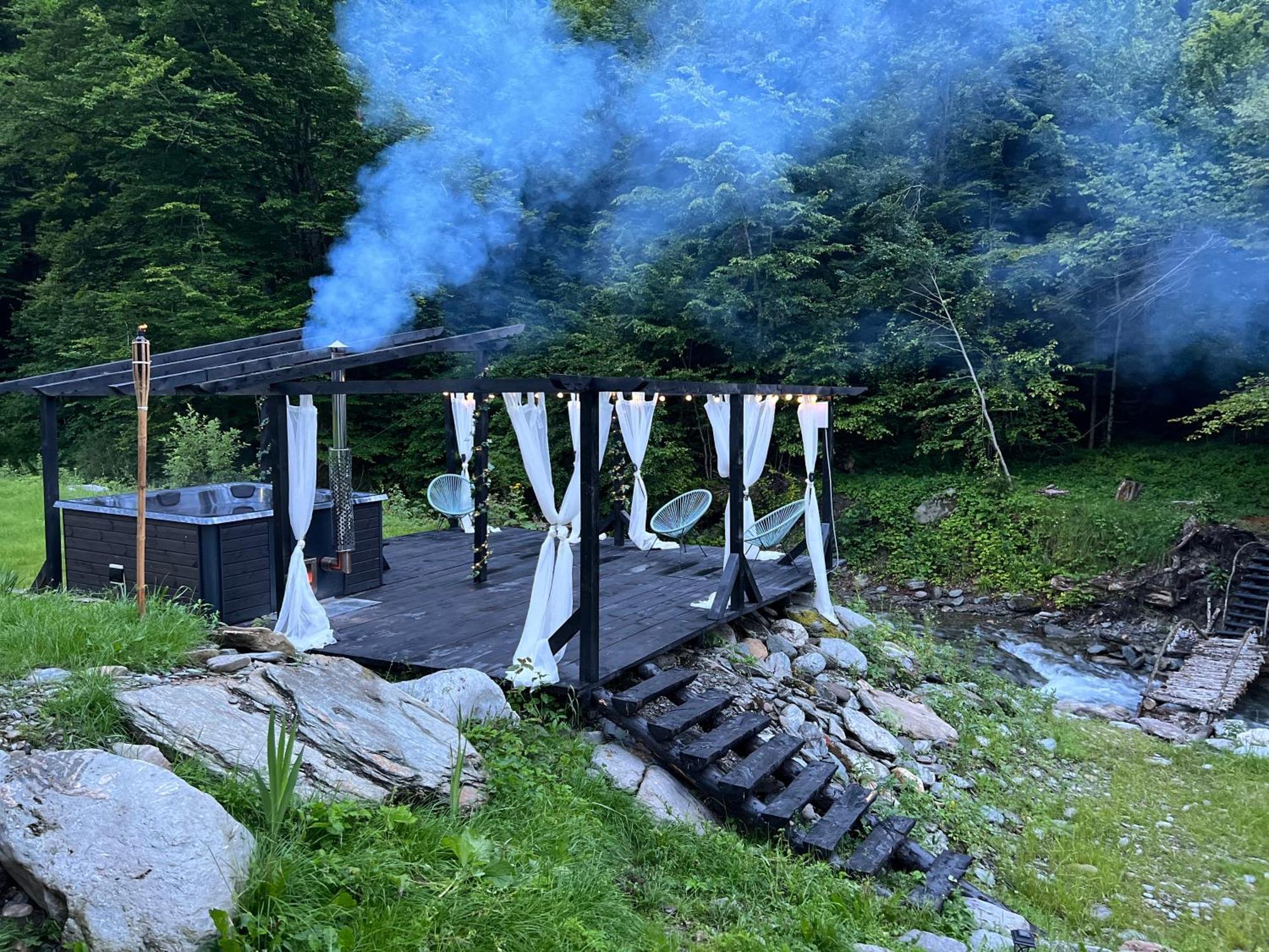 Pensiunea Flora Cîrţişoara Exterior foto