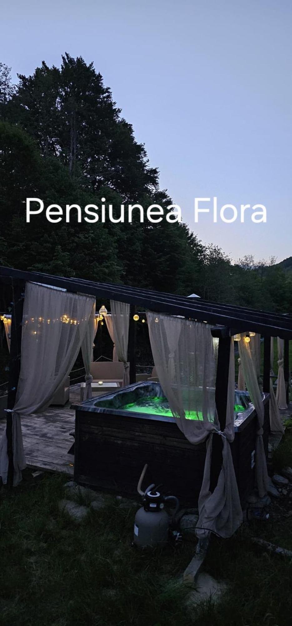 Pensiunea Flora Cîrţişoara Exterior foto