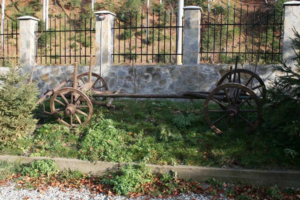 Pensiunea Flora Cîrţişoara Exterior foto